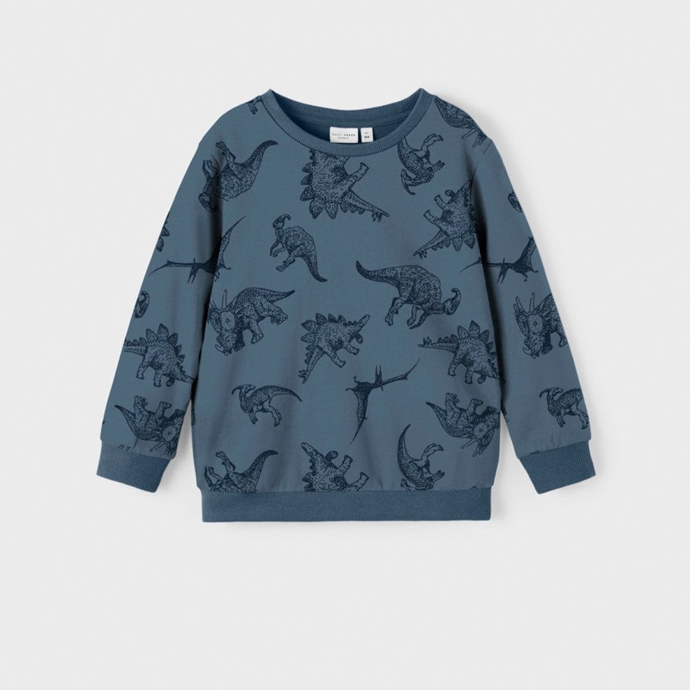 dinosaur print blue sweatshirt 