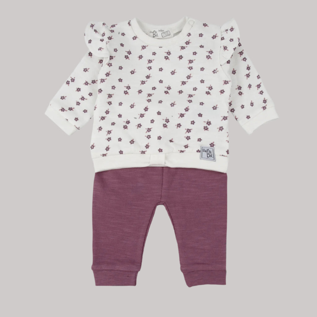 Baby outfit with floral top and purple pants on a white background
