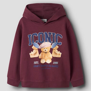 Maroon hoodie with teddy bear graphic and 'Iconic' text on a light grey background