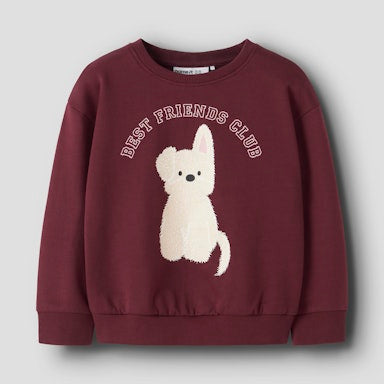 Maroon sweatshirt with a white dog graphic and 'Best Friends Club' text on a light  background